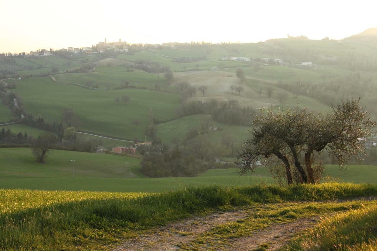 Il Nostro Sogno Bed & Breakfast Sassocorvaro