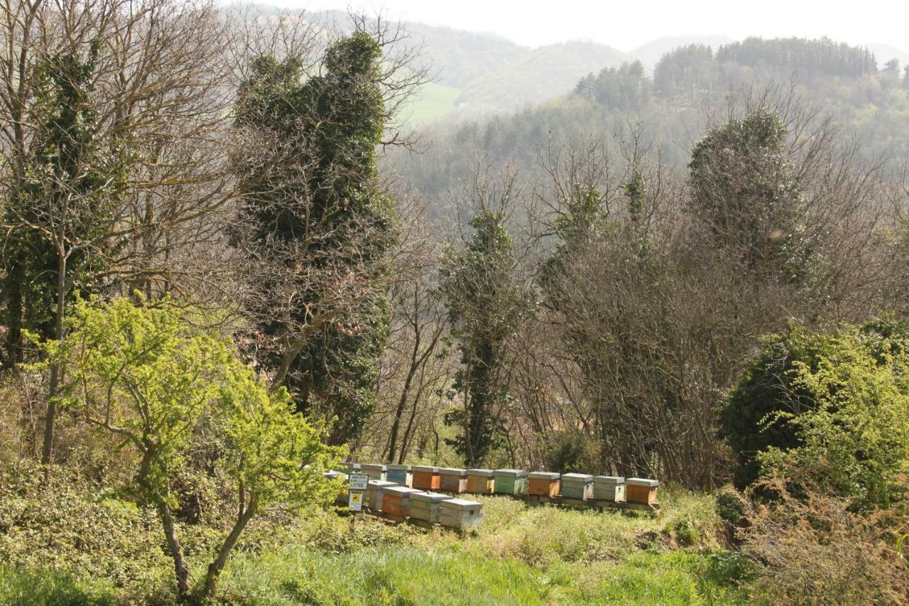 Il Nostro Sogno Bed & Breakfast